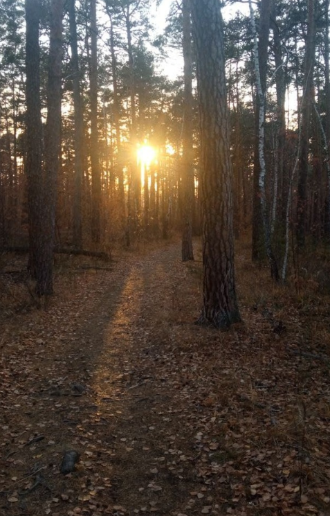 Вот этот путь