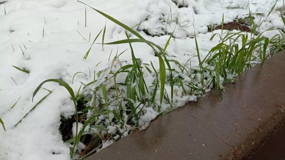     Источник: rostovgazeta.ru