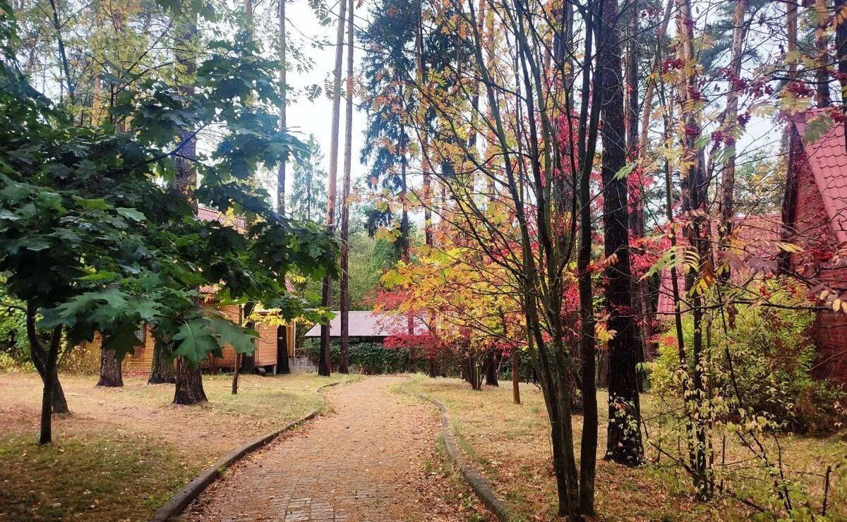    Сколько стоит отдых в загородных отелях Подмосковья в октябре – декабре 2024 года