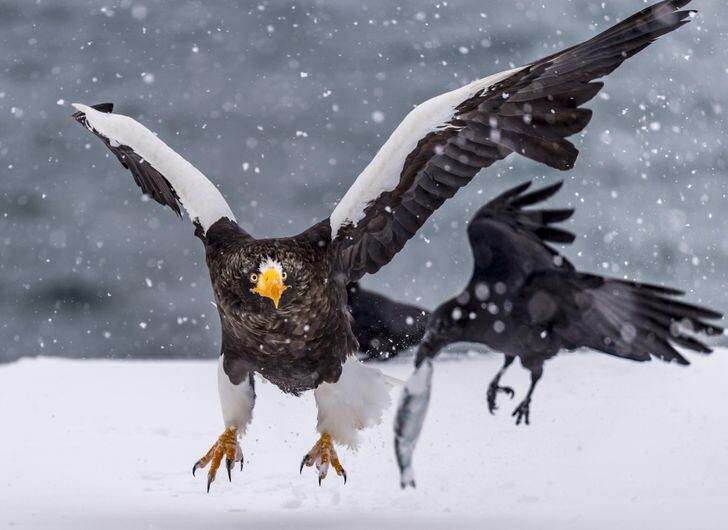 © Depositphotos.com