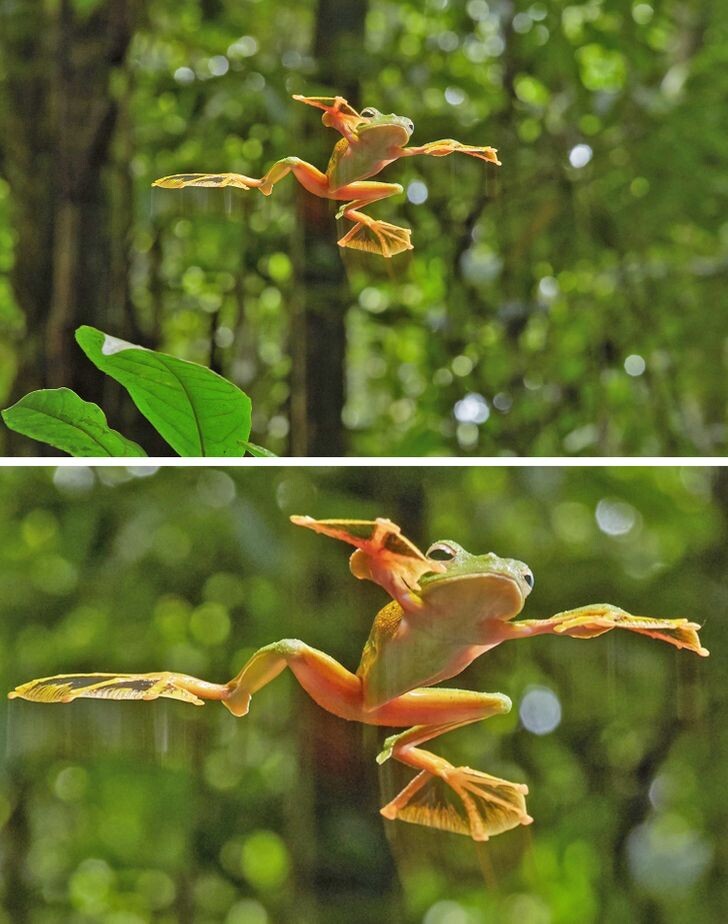 © Quentin Martinez / Biosphoto / East News