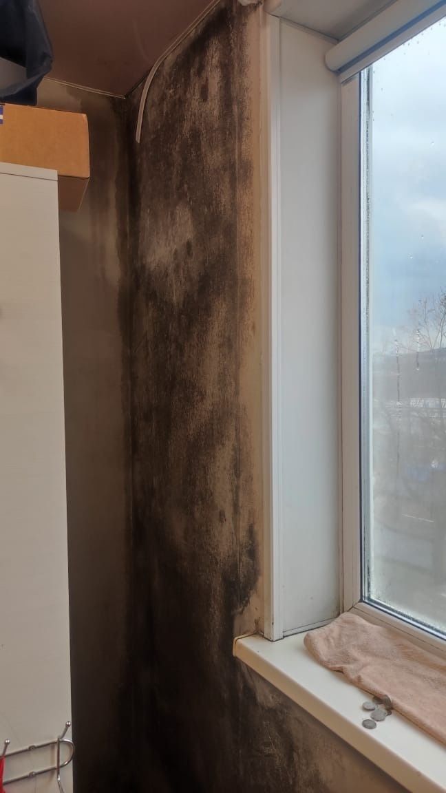     Источник: vostokmedia.com