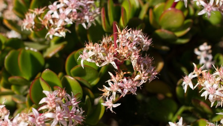 Источник: Shutterstock