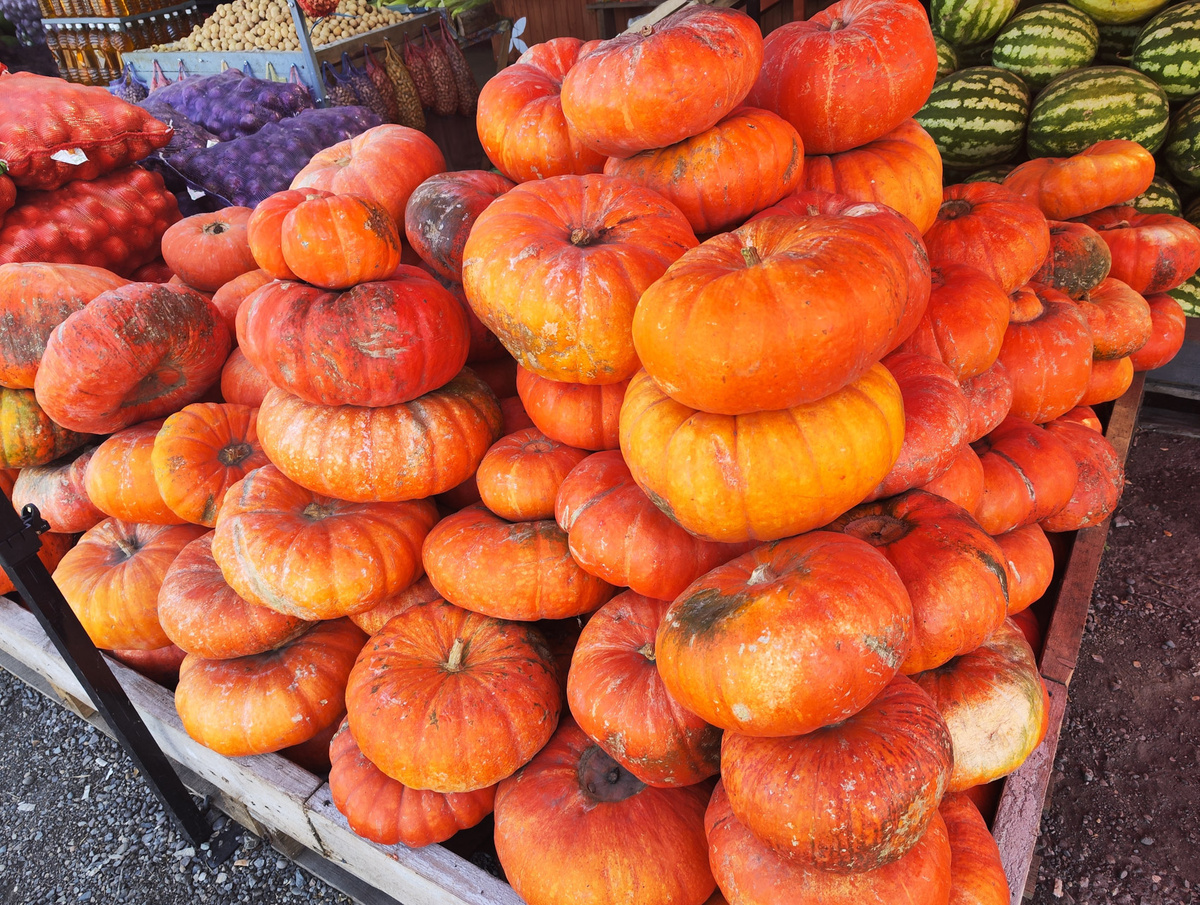 Нутрициолог предупредила, что мякоть тыквы имеет высокий гликемический индекс.  Фото: Фото: ФедералПресс / Ксения Кобалия