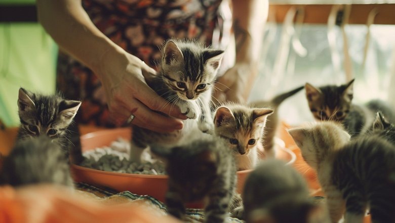 Источник: Vecteezy.com