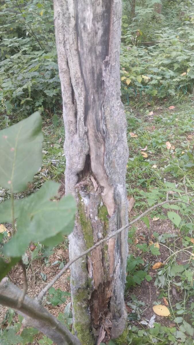 Спешить мы не будем, а сначала попробуем помочь!