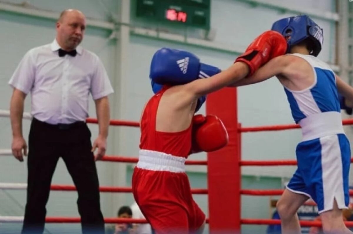   Международный турнир по боксу памяти Николая Макиенко пройдет в Волгограде