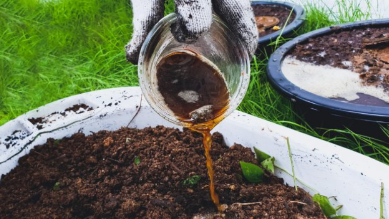 Правильное добавление ускорителей разложения существенно сокращает время созревания