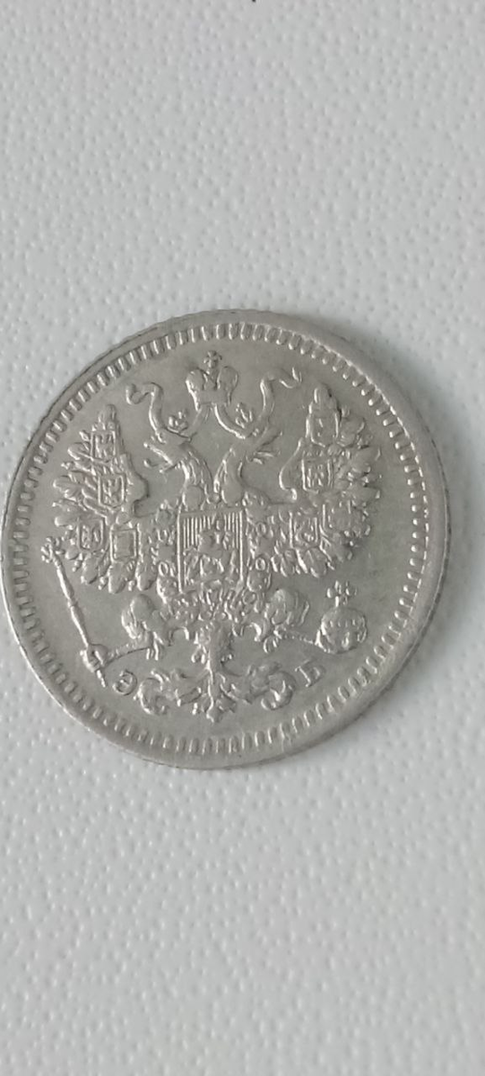 задняя сторона