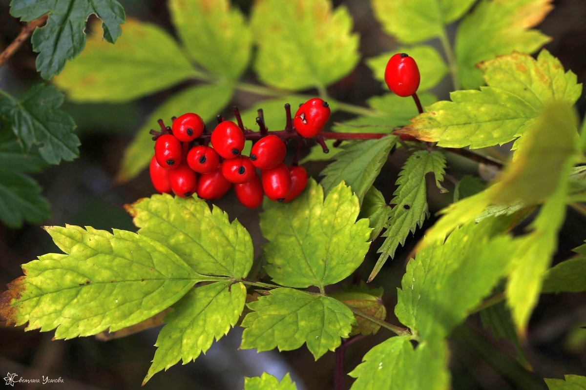 Листайте галерею, чтобы увидеть все фото. 