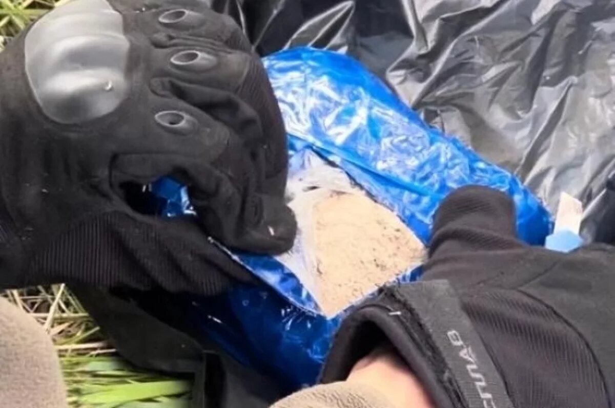    ФСБ задержала наркодилера из Златоуста с семью килограммами мефедрона