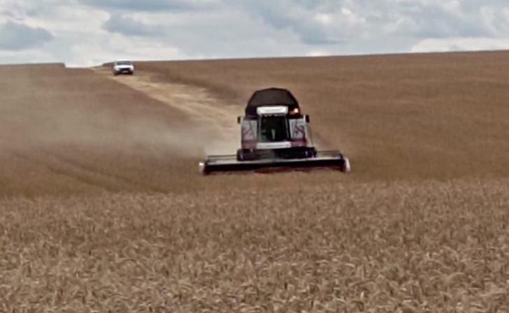    фото Курские известия