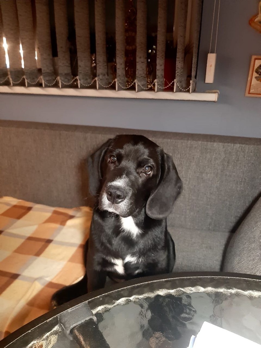 Вот страсти, а я даже про них и не знаю