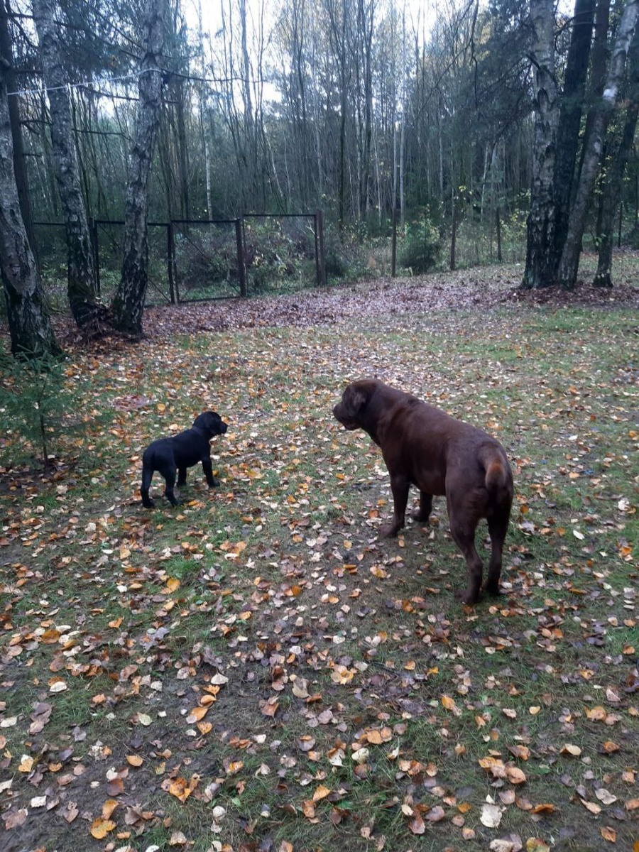 как мне повезло! Какой у меня друг!