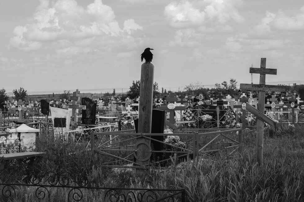 Фото из открытых источников: носит иллюстративный характер