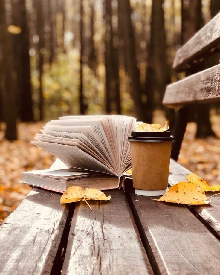 Хотелось бы читать в бумажном варианте, но увы, довольствуюсь электронным, спасибо и за это )) .