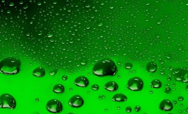    Египет встал на путь замещения агрохимии биопестицидами с целью сокращения использования синтетических продуктов на 50% к 2030 году