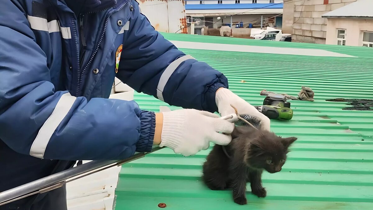     Источник: УГЗ Уфы