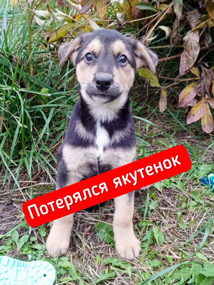 Тихон (Тайсон)