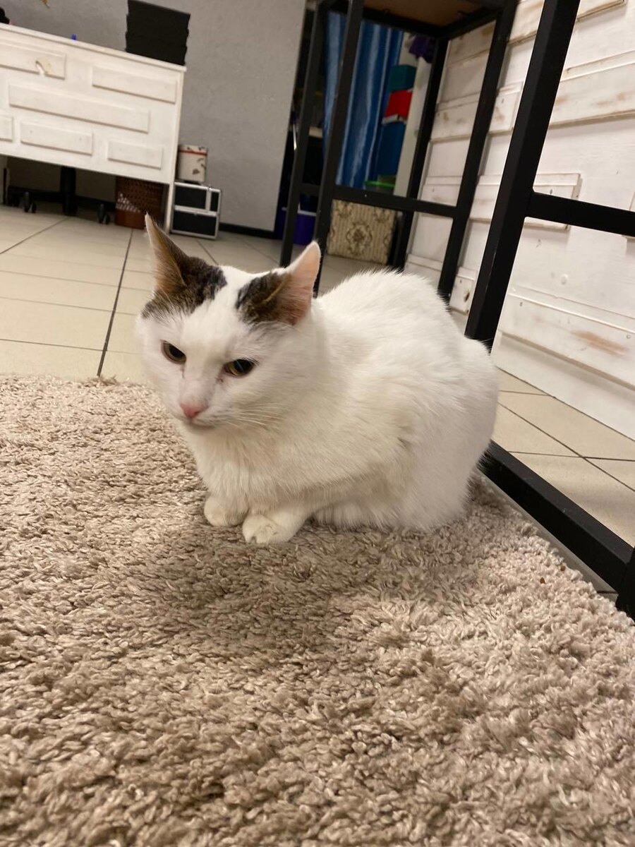 Ну ладно, я так-то добрый парень:)