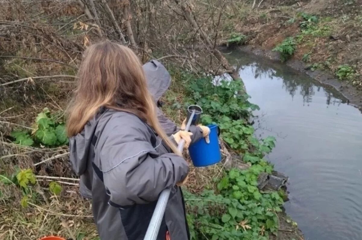   В Ярославле обследуют загрязненные ручьи, впадающие в Волгу