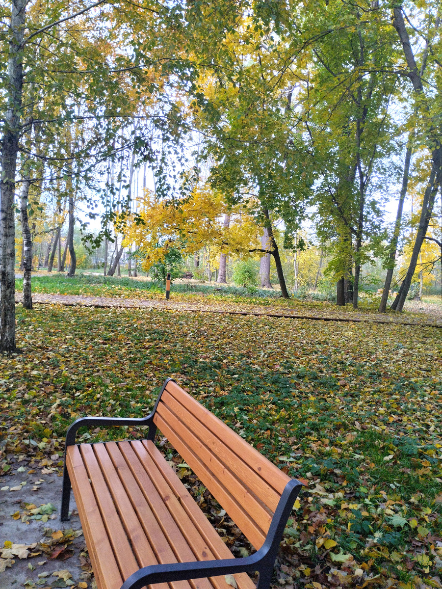 Приходи на меня посмотреть... Сказала осень словами Анны Ахматовой