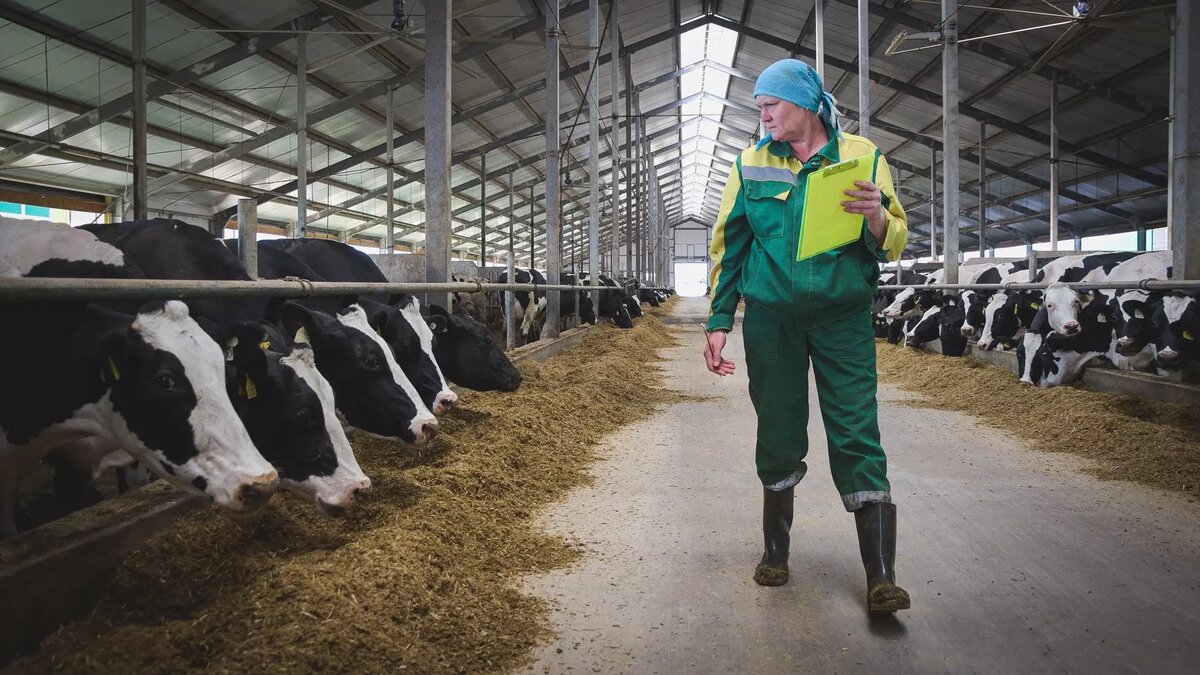     Источник: 1MI