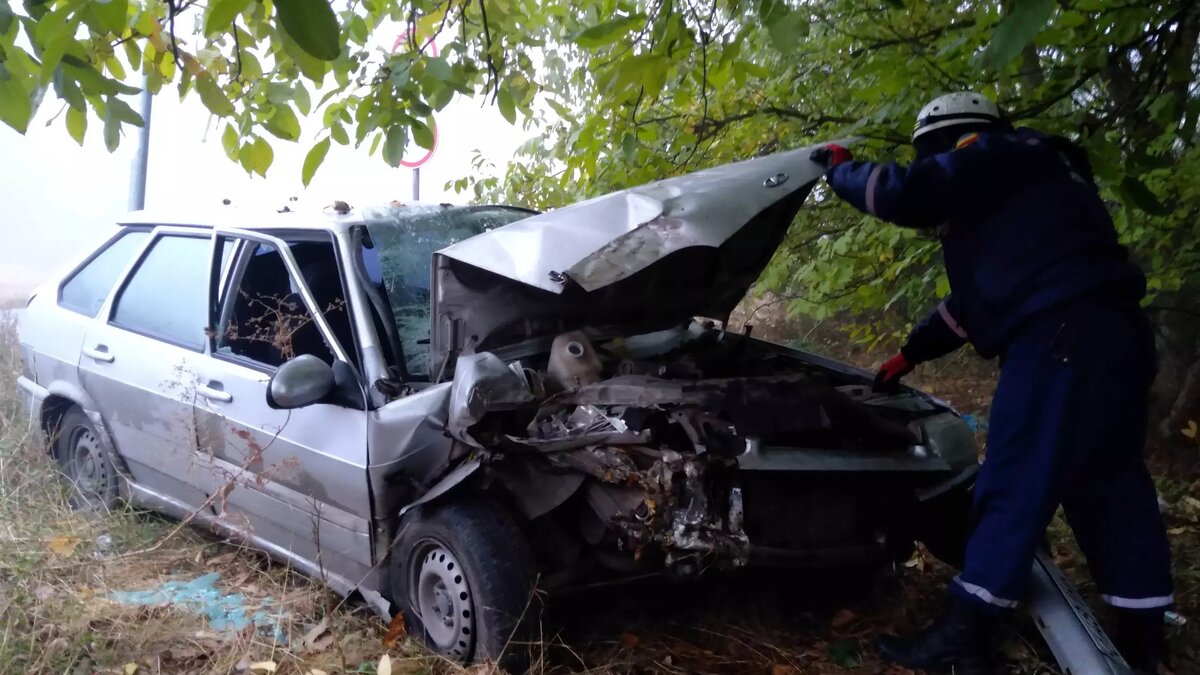     Автор: ГКУ РО «РО ПСС»