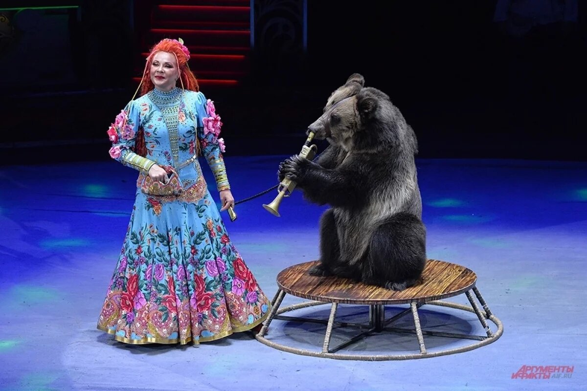    Краснодарцы высказались по поводу идеи запрета животных в цирках