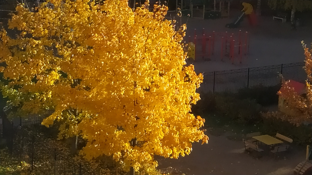 Жизнь -одна.