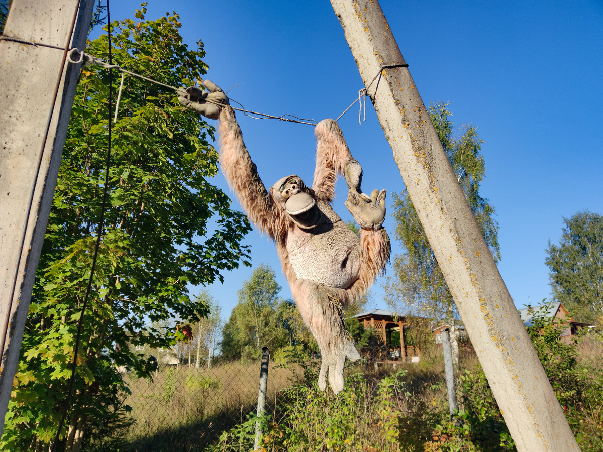 Автор, когда нашёл ценный экспонат