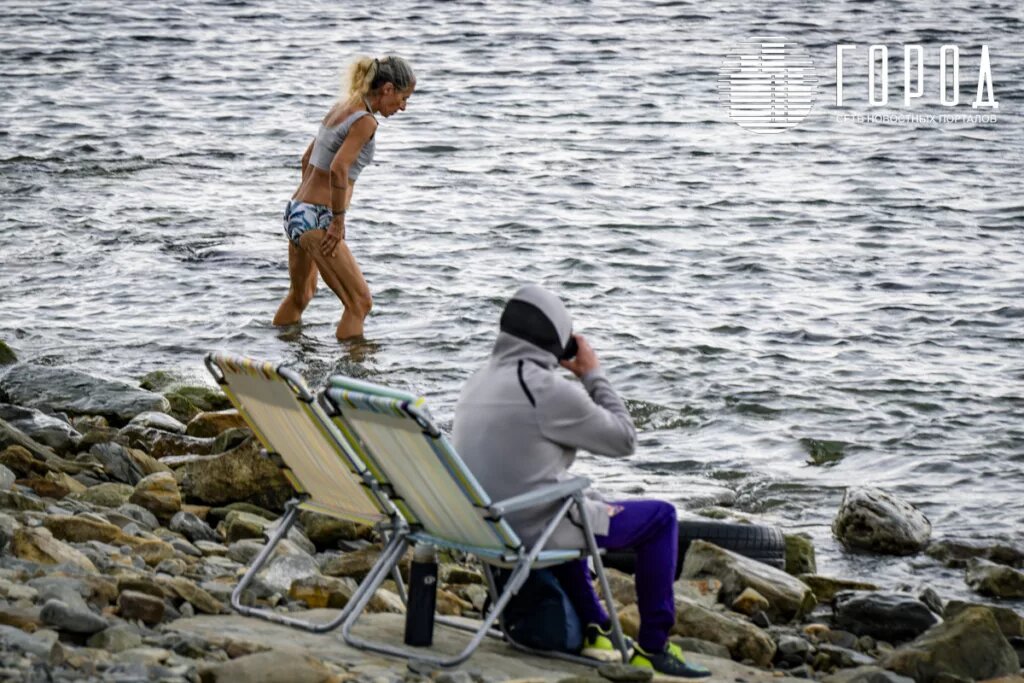 Одни греются на берегу, другие — в Чёрном море.