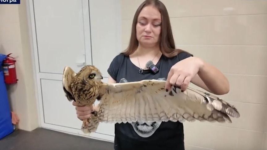    Фото: Вести-Ямал