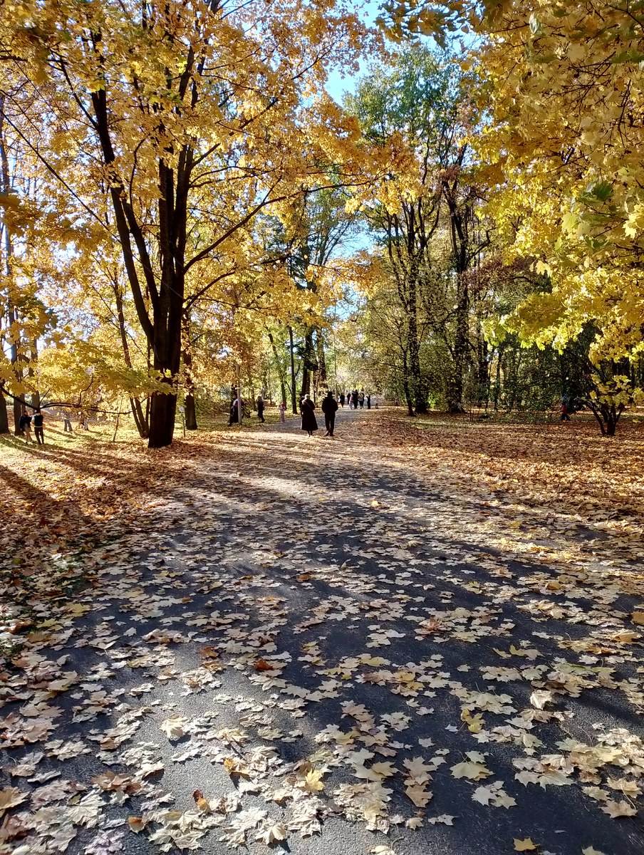 Здесь и дальше фото автора.