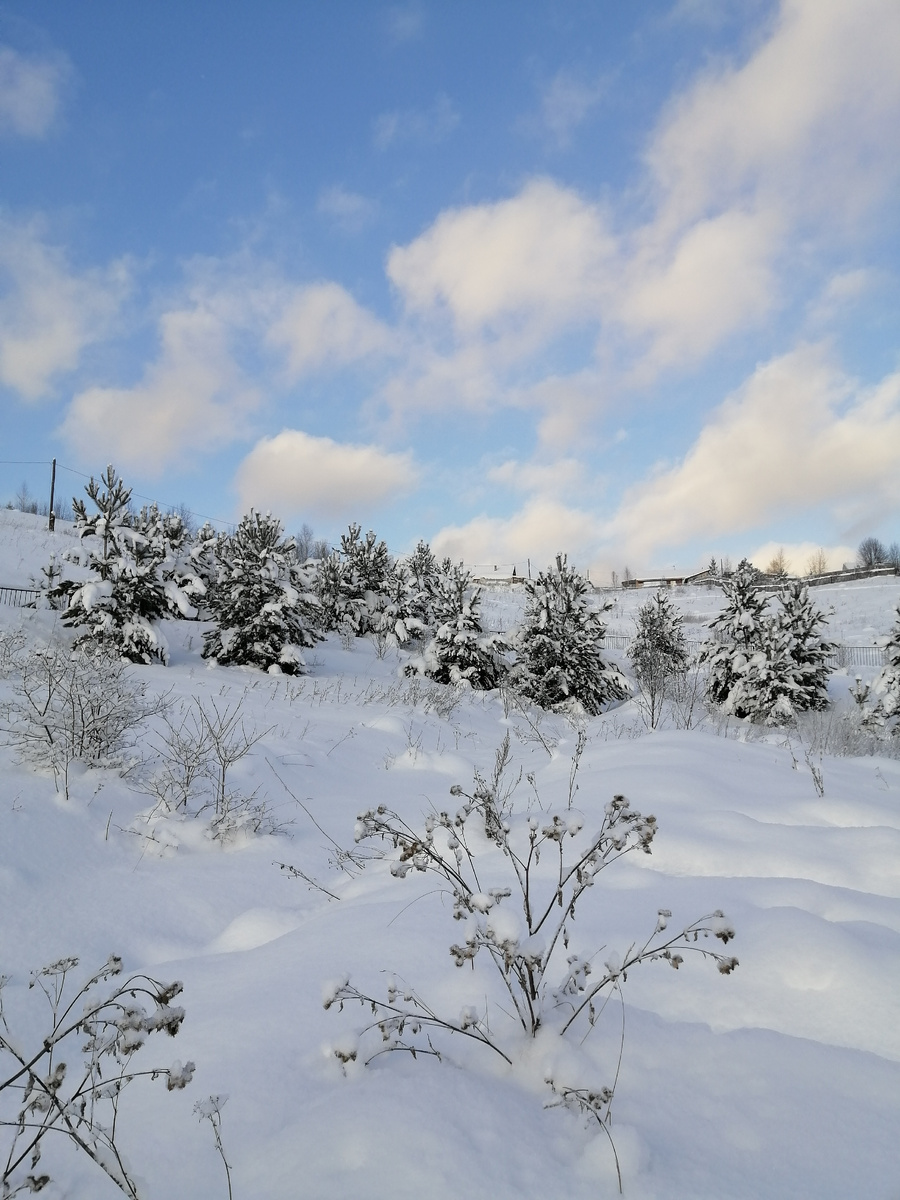 Личное фото. 