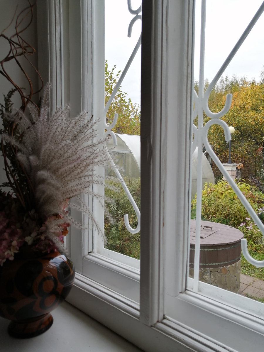 Дача, сад, вид из окна