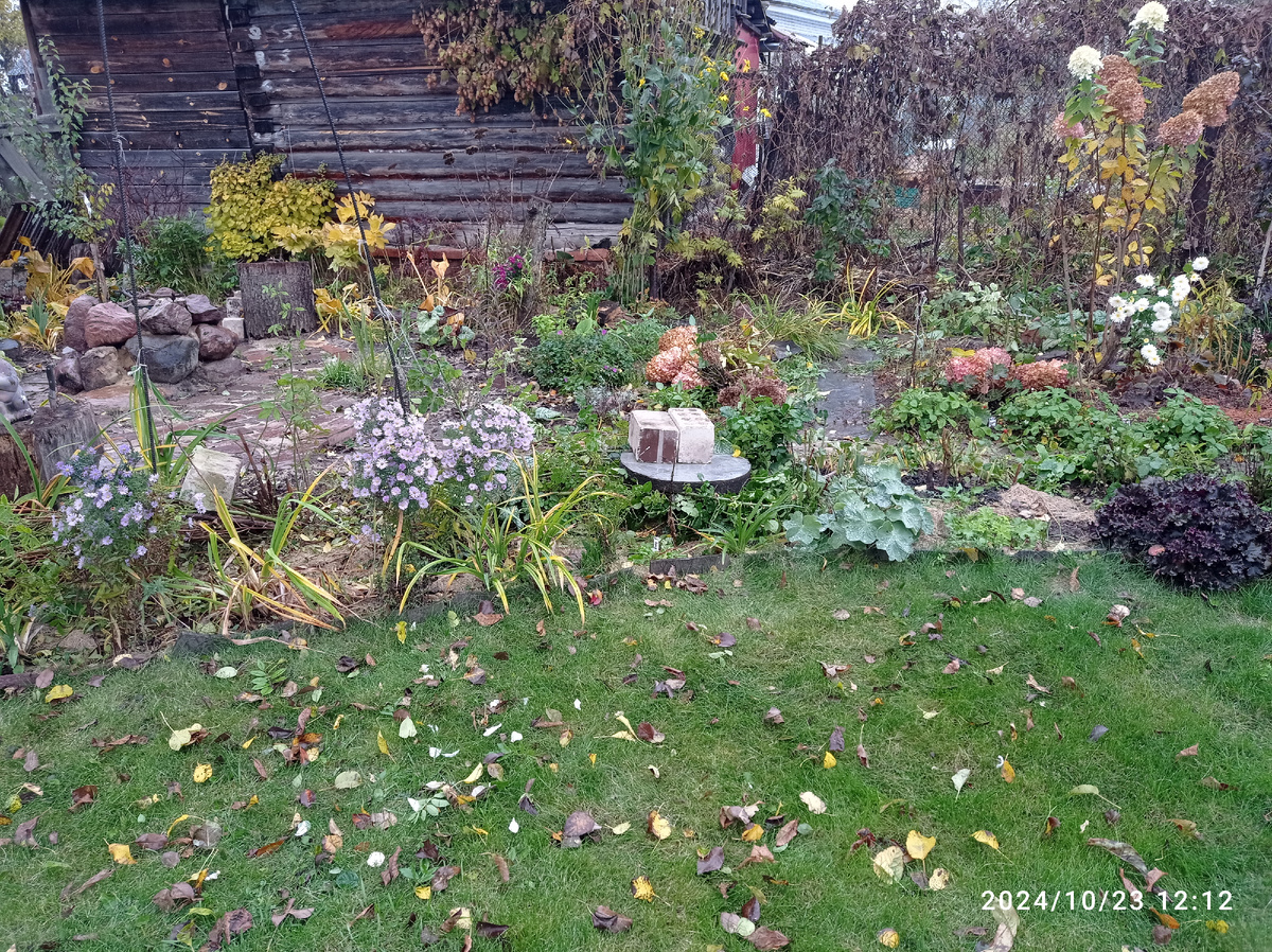 розовые "рощи голы"