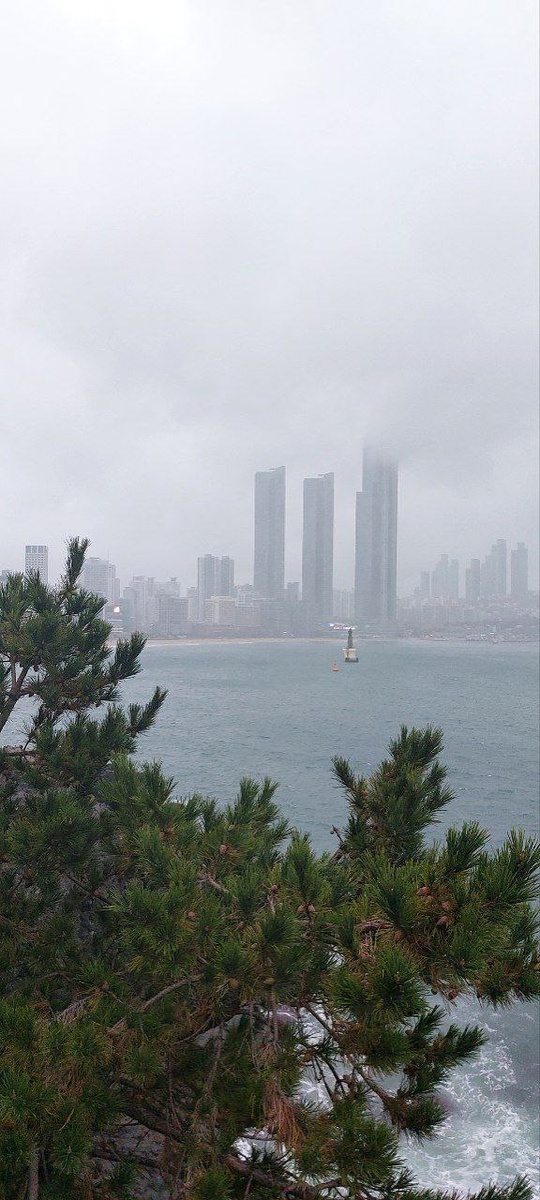 Типичный пейзаж Пусана. Сосны, море, небоскрёбы