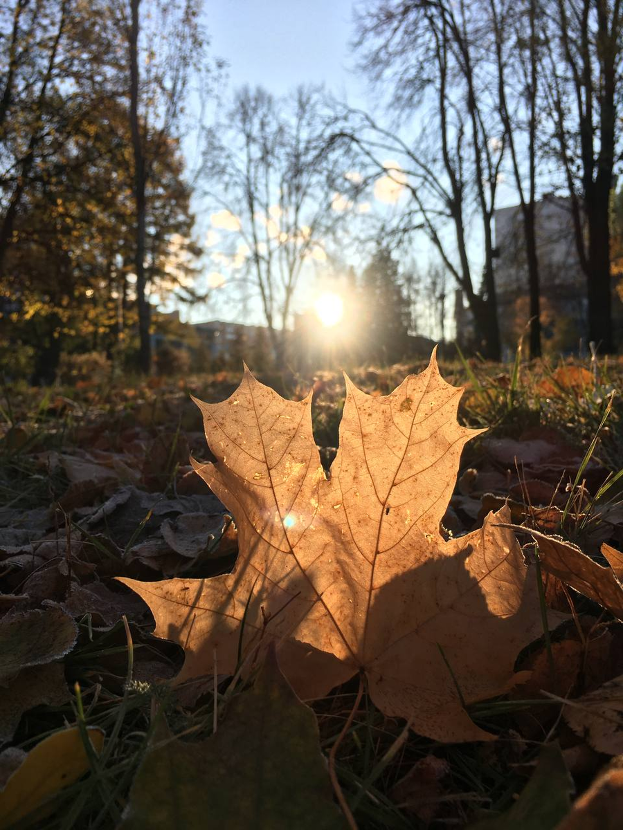 Фото автора