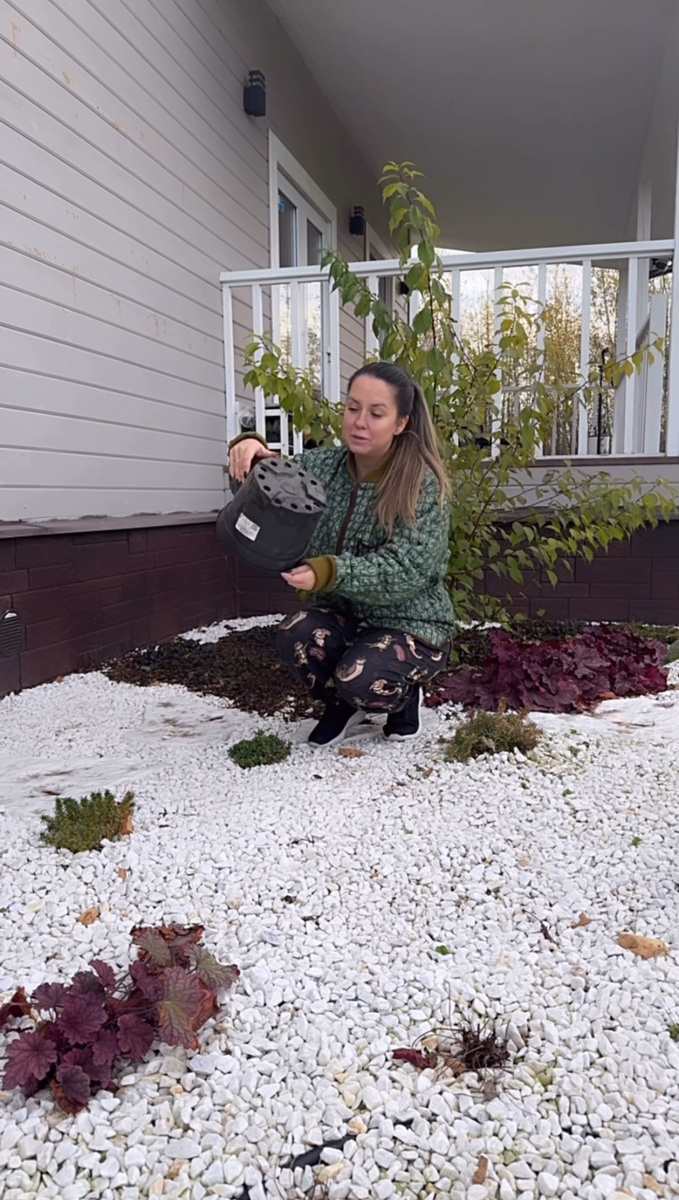 Обычный горшок из-под растений