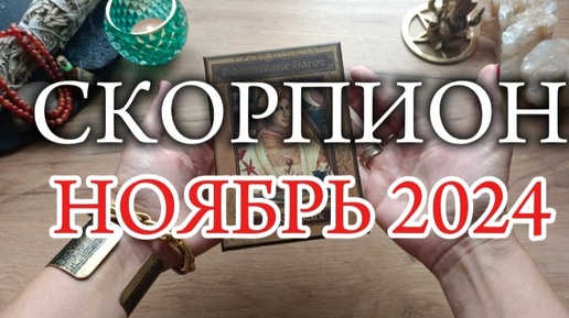 ♏СКОРПИОН✨НОЯБРЬ 2024✨