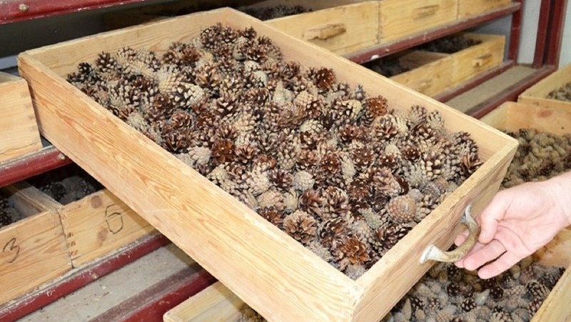      Фото: минприроды Ставрополья