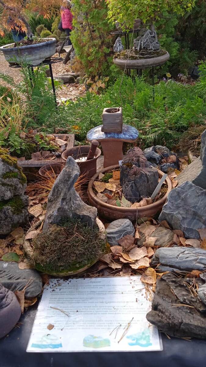 Фото Галины Овчаровой