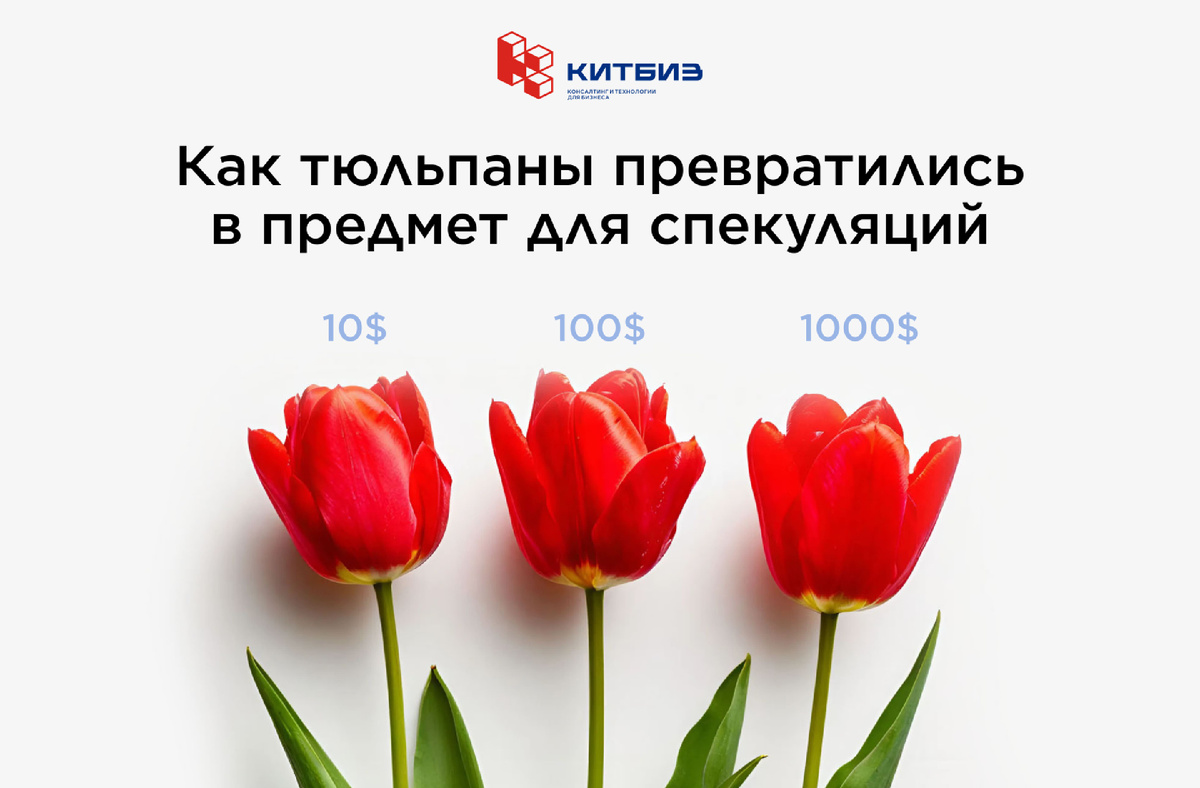 Финансовые пирамиды