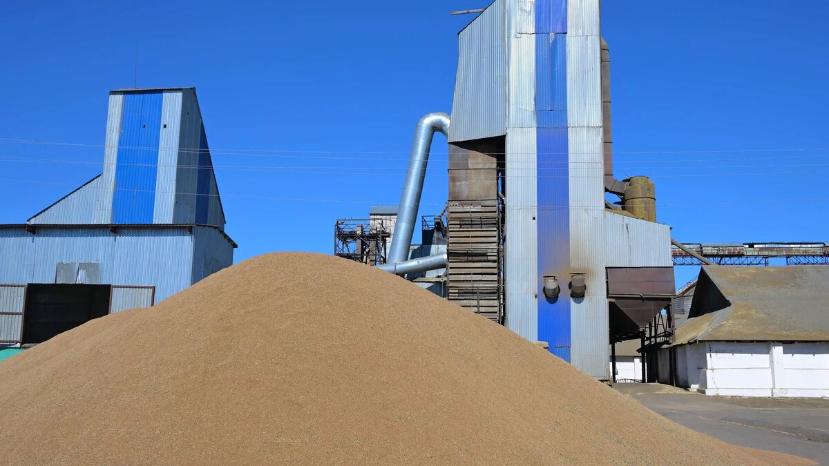 © Photo : канал пресс-службы акима Павлодарской области