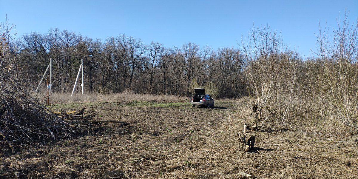 Практически всё вырубили, ожидаем экскаватор