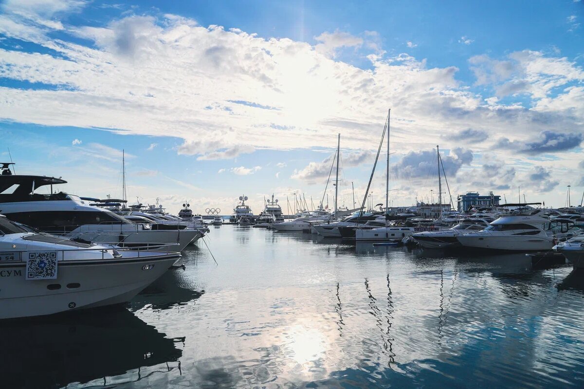 Фото: Варвара Вострокнутова