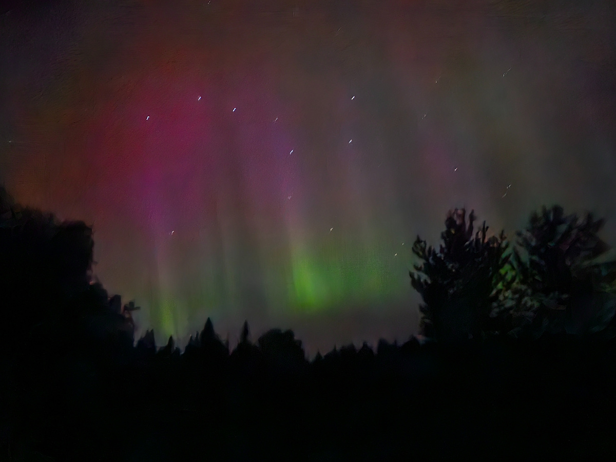 Фото автора.