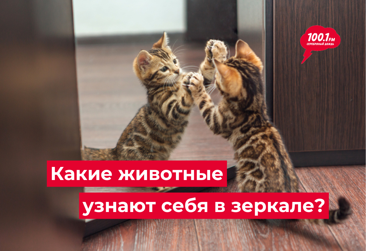 Фото: Smile19 / Shutterstock