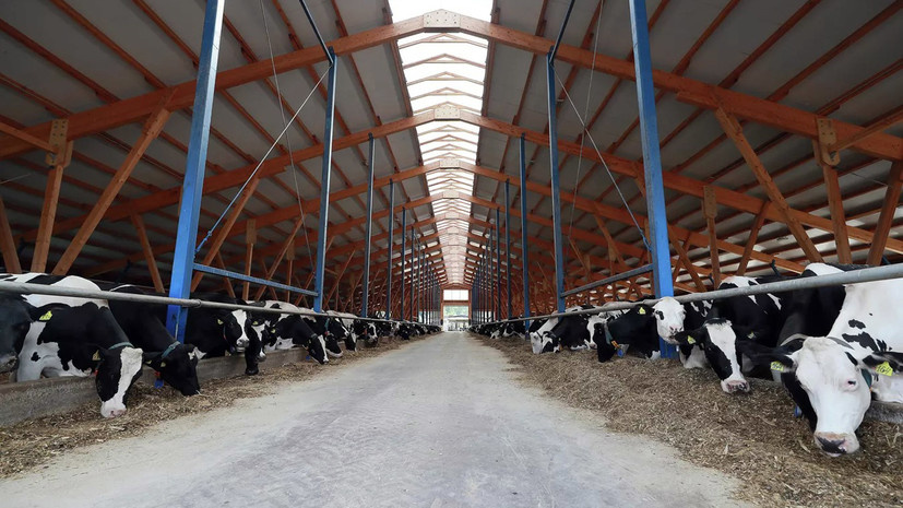   РИА Новости